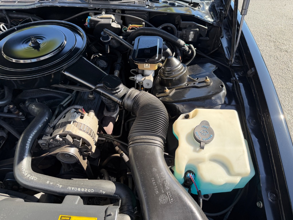1991 Pontiac Firebird - Photo 51
