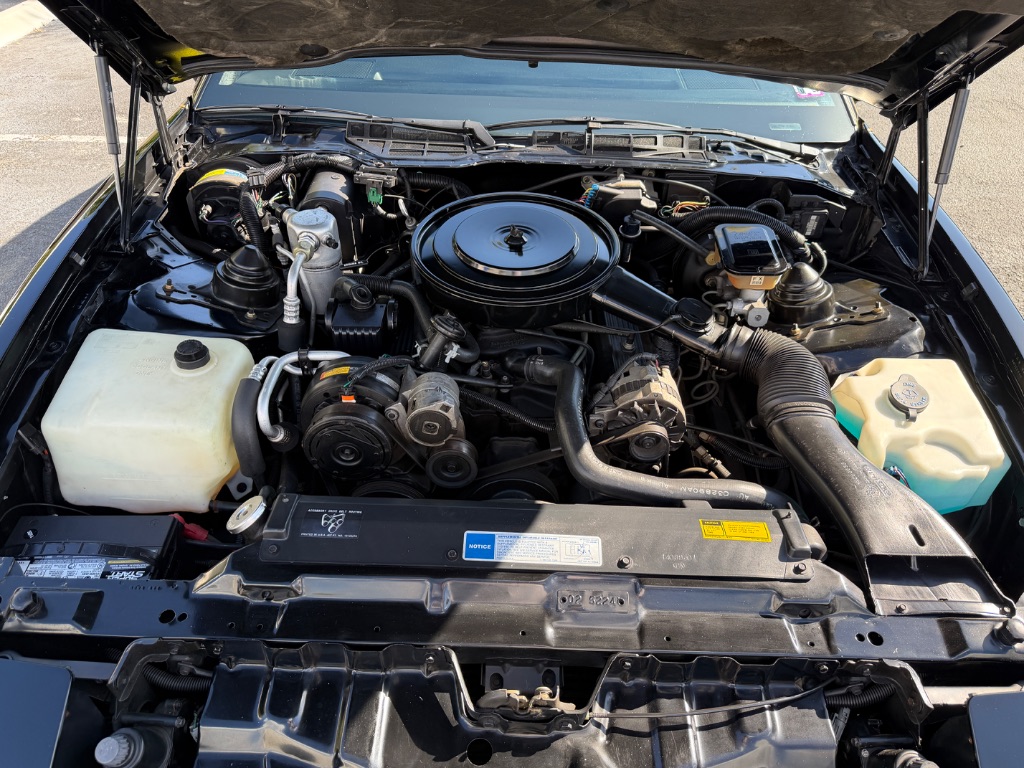1991 Pontiac Firebird - Photo 49