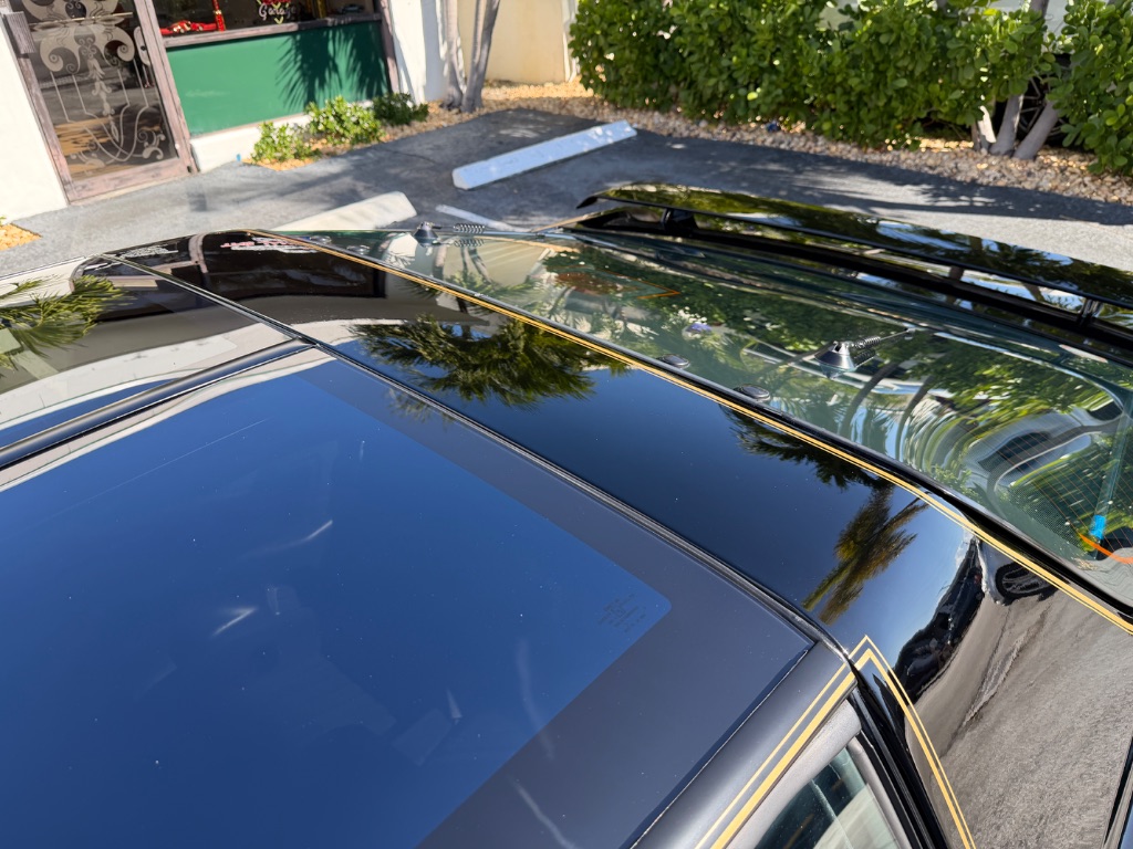 1991 Pontiac Firebird - Photo 25