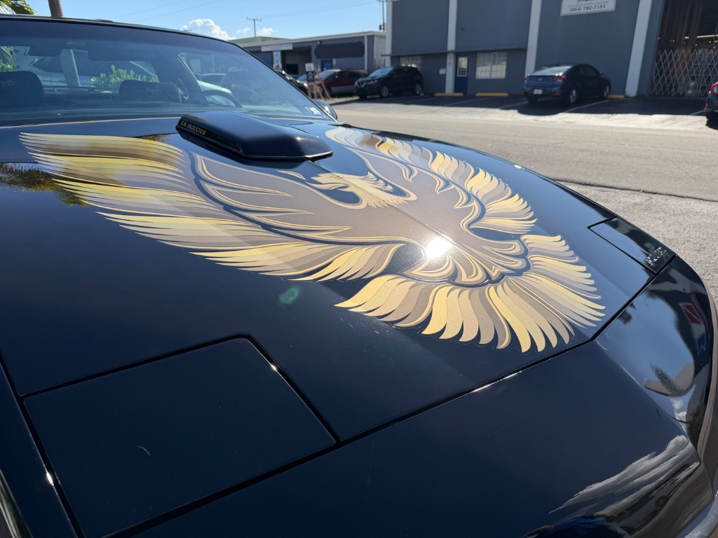 1991 Pontiac Firebird - Photo 22