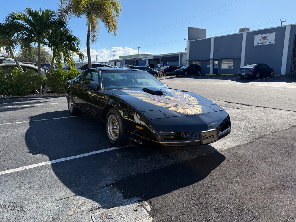1991 Pontiac Firebird - Photo 8