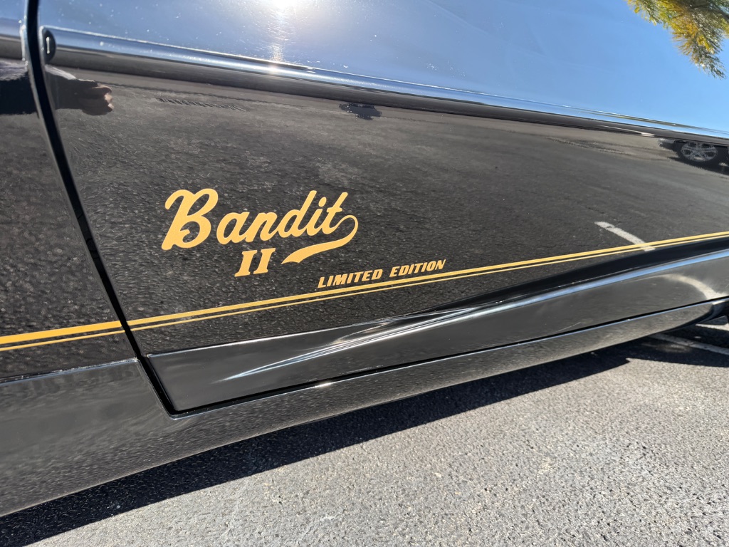 1991 Pontiac Firebird - Photo 13