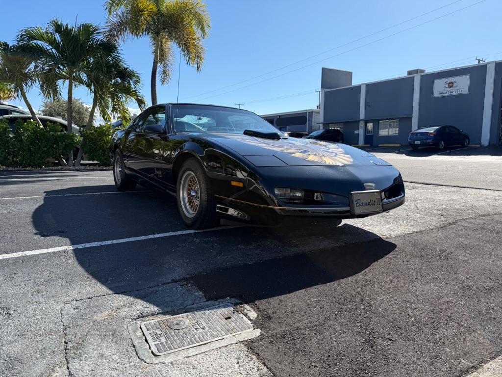 1991 Pontiac Firebird - Photo 9