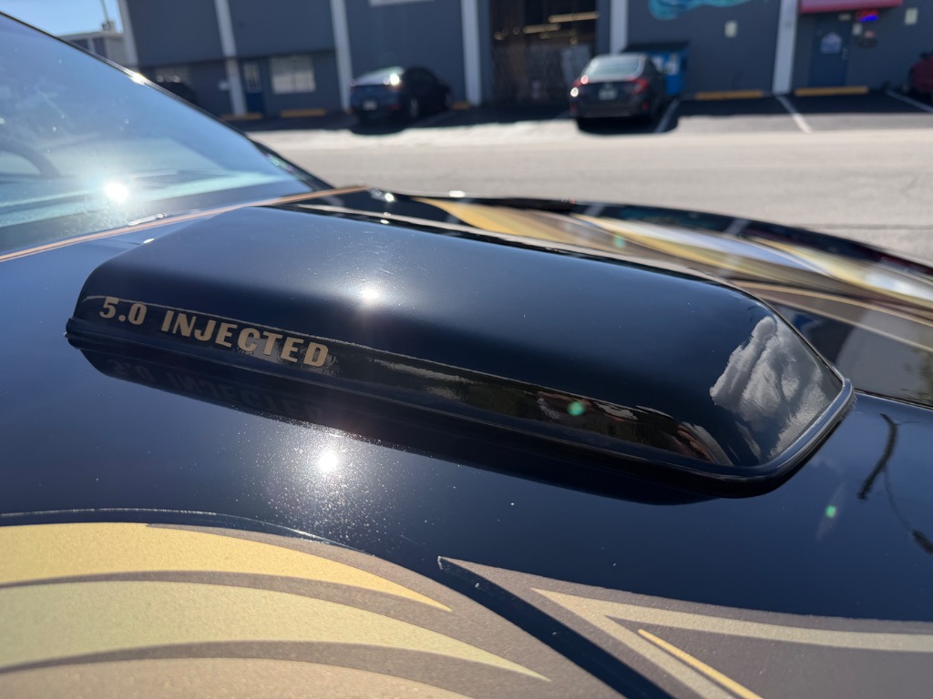 1991 Pontiac Firebird - Photo 23