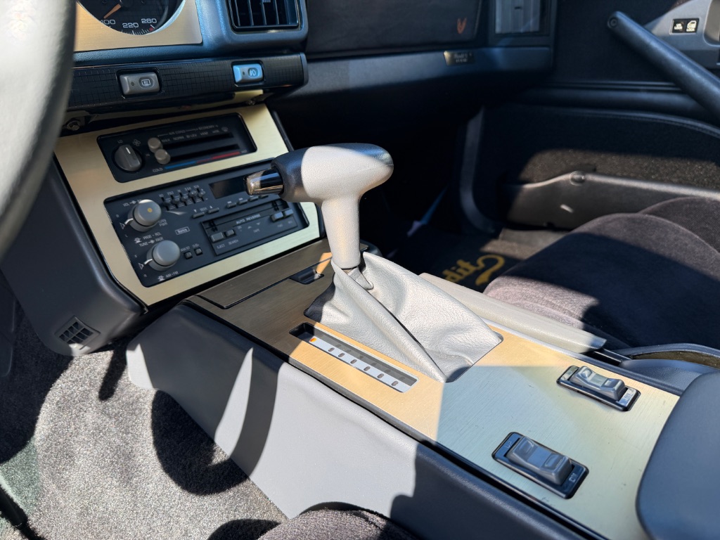 1991 Pontiac Firebird - Photo 39