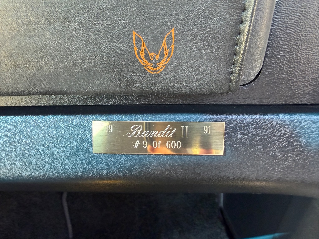 1991 Pontiac Firebird - Photo 43