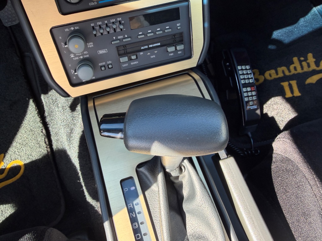1991 Pontiac Firebird - Photo 40