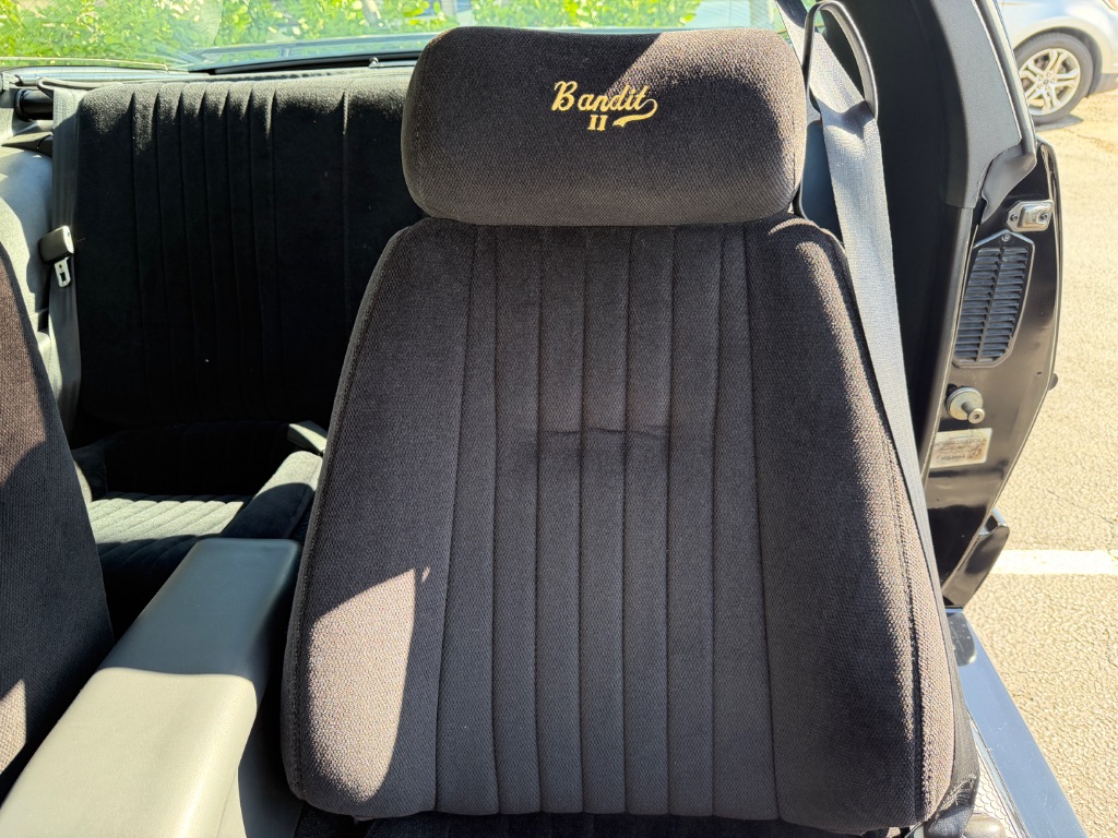 1991 Pontiac Firebird - Photo 35