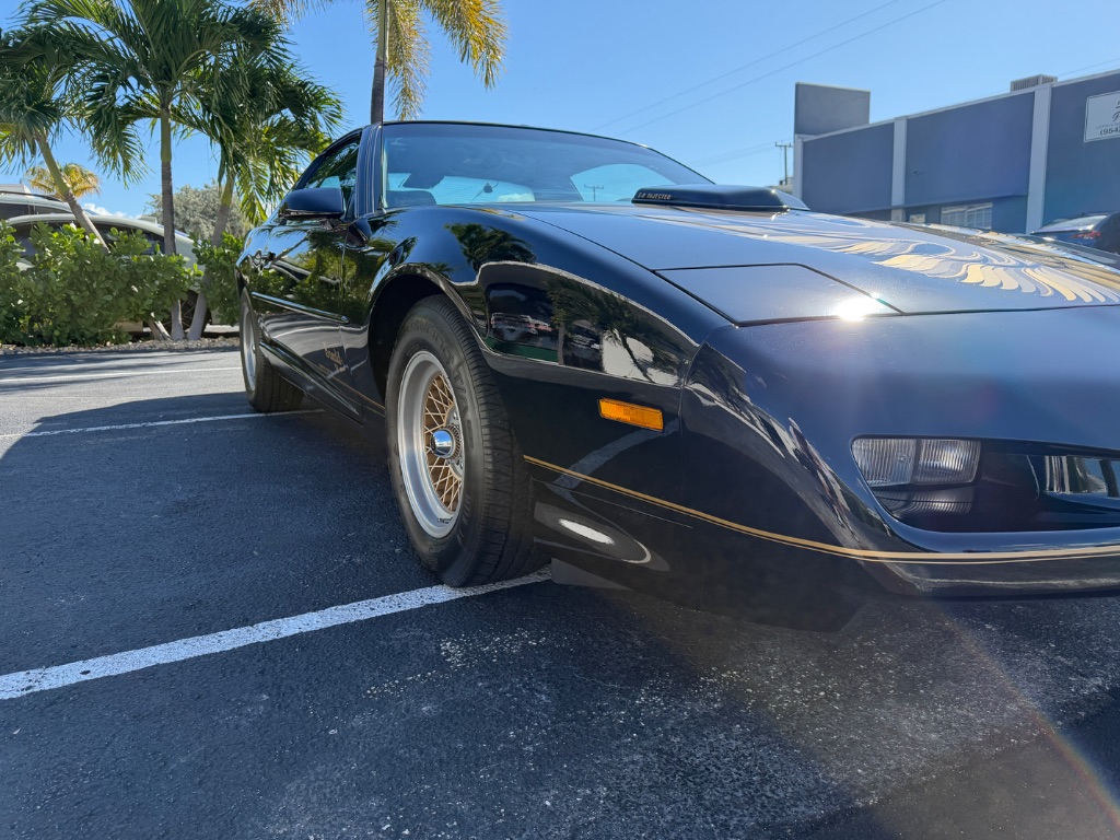 1991 Pontiac Firebird - Photo 10