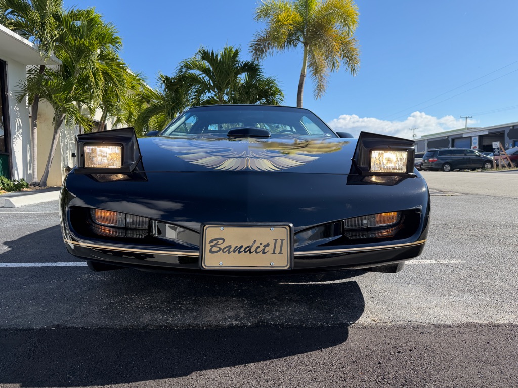 1991 Pontiac Firebird - Photo 28