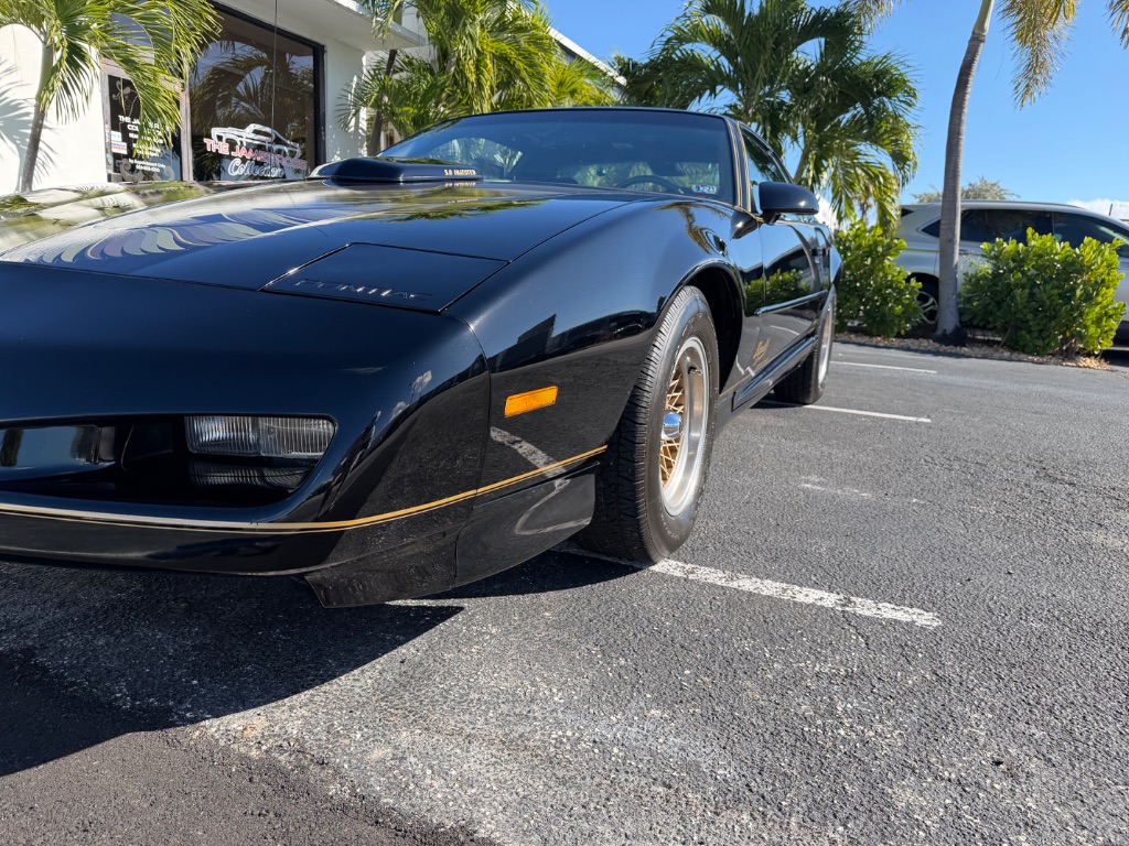1991 Pontiac Firebird - Photo 11