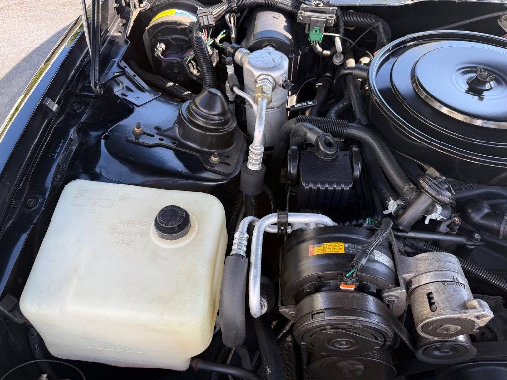 1991 Pontiac Firebird - Photo 50