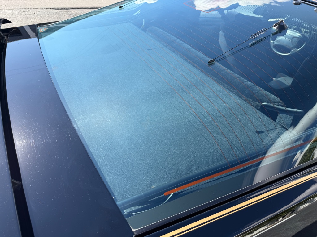 1991 Pontiac Firebird - Photo 61