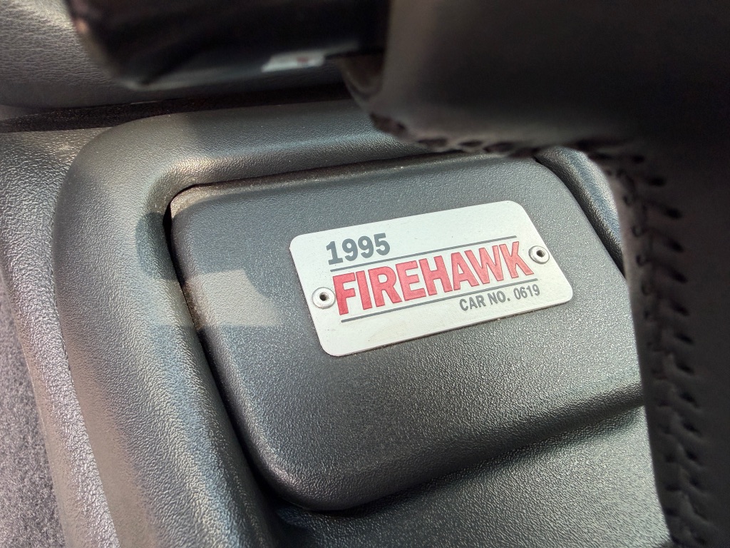 1995 Pontiac Firebird - Photo 27