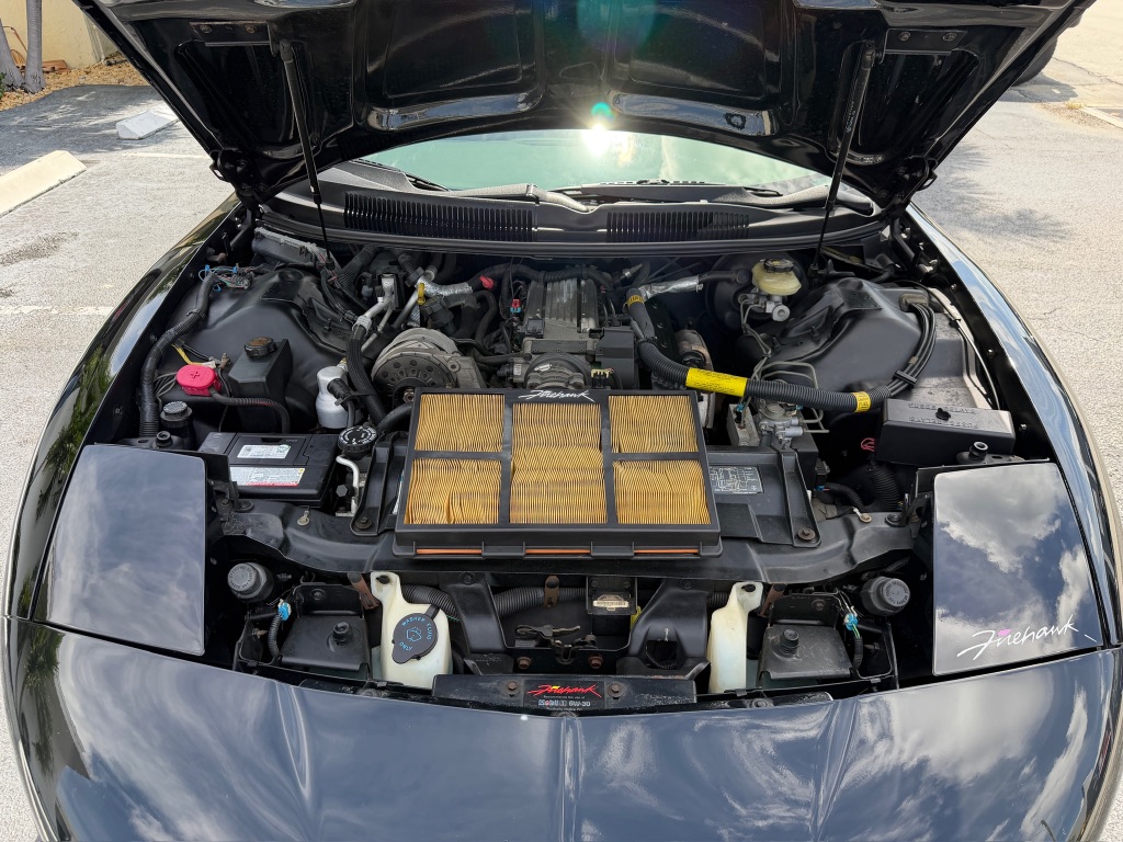 1995 Pontiac Firebird - Photo 35