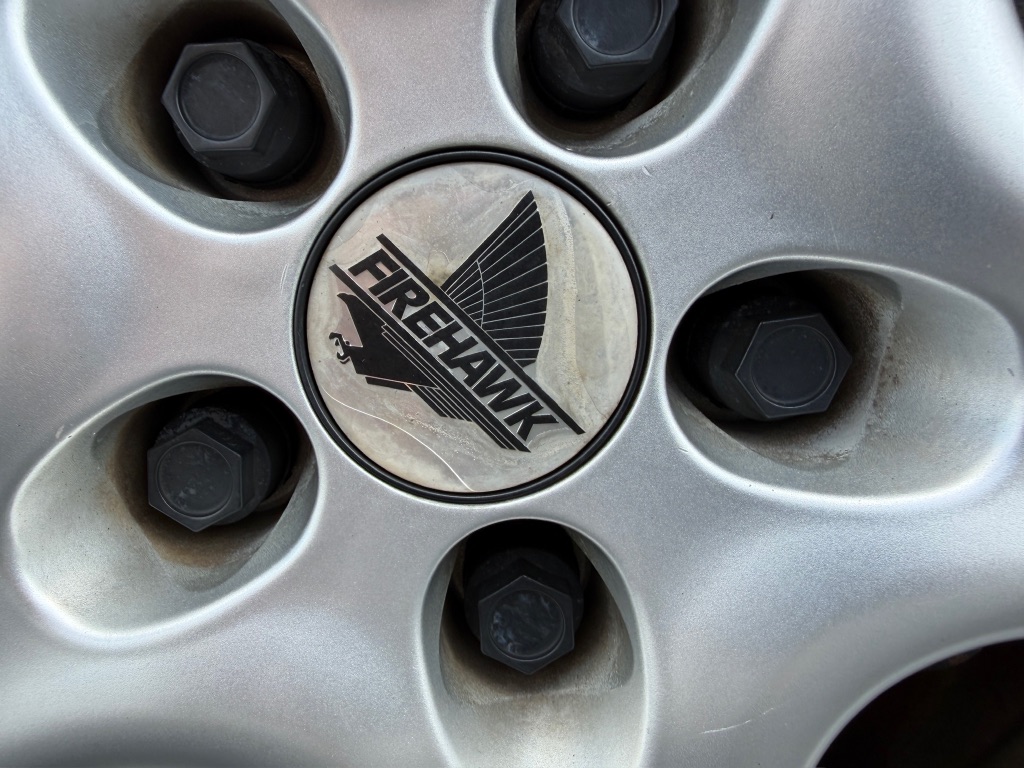 1995 Pontiac Firebird - Photo 16